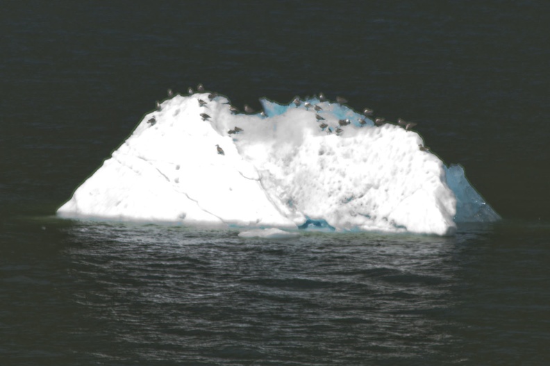 315-9184 Iceberg.jpg